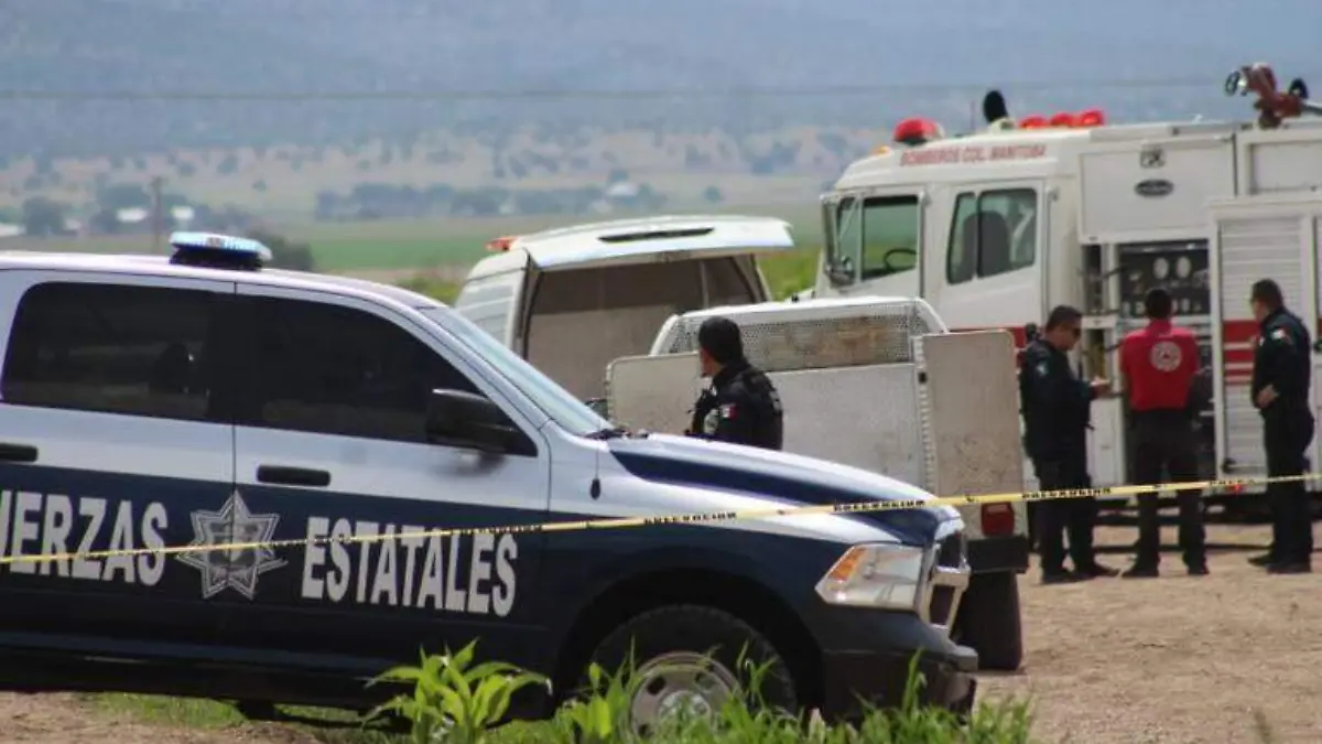 policía estatal